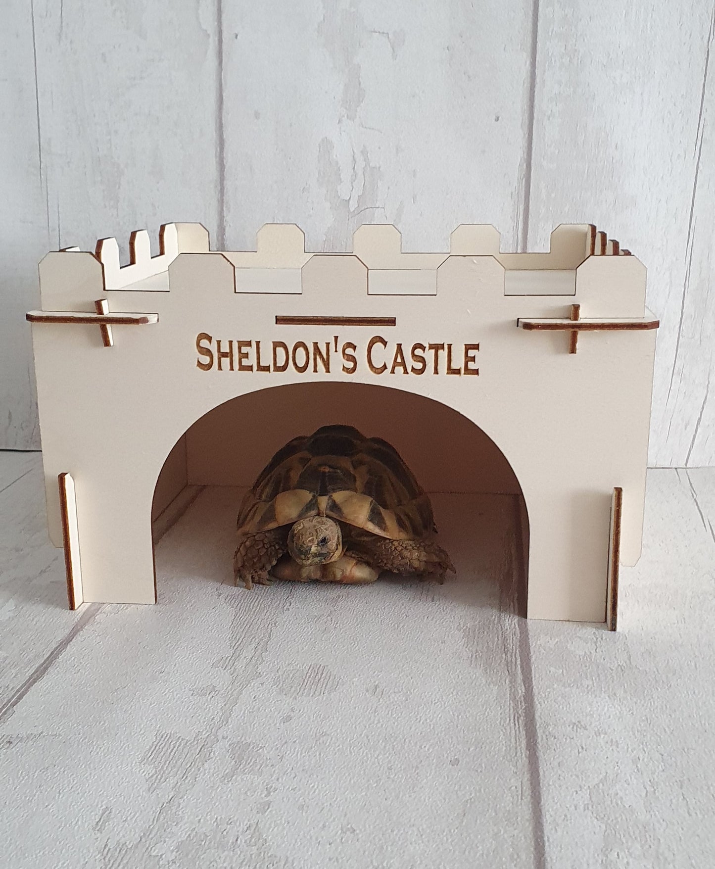 Personalised Tortoise house.