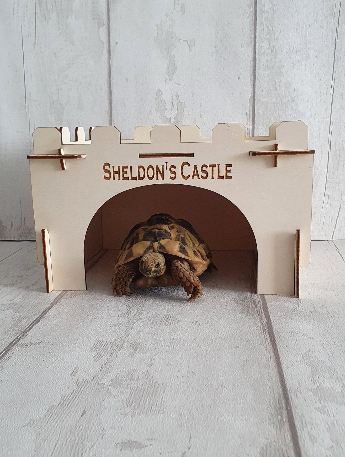 Personalised Tortoise house.