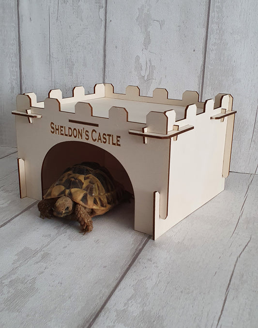 Personalised Tortoise house.