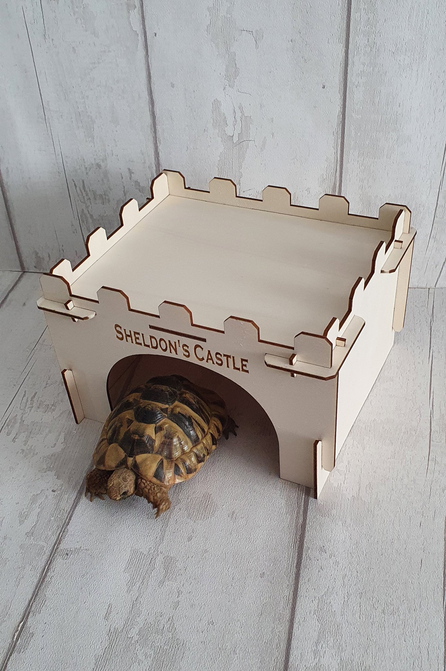 Personalised Tortoise house.