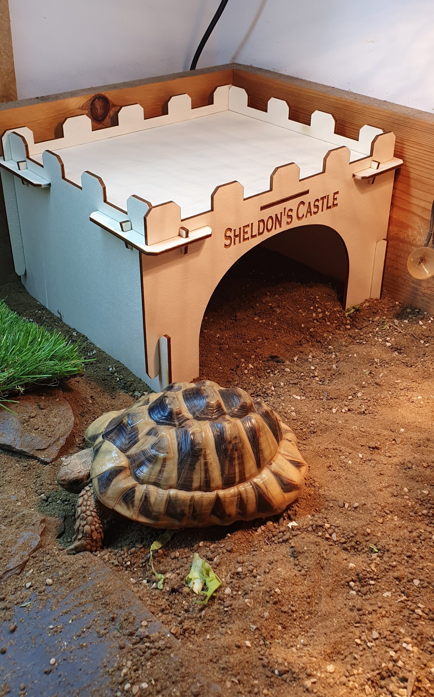 Personalised Tortoise house.