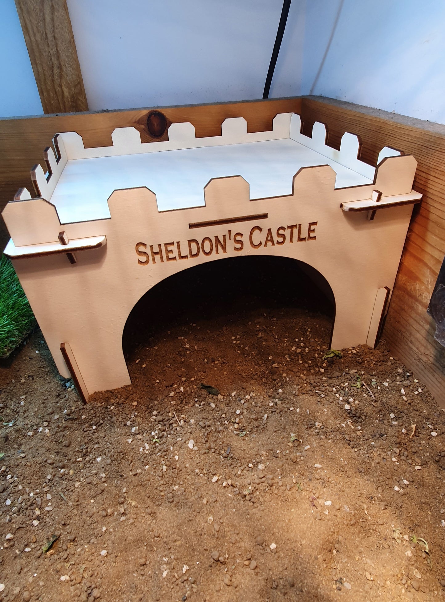 Personalised Tortoise house.