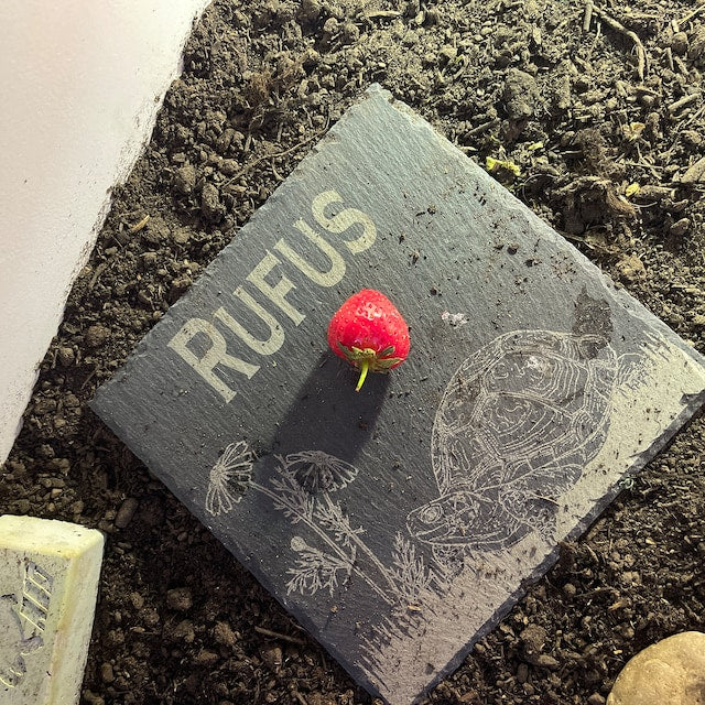 Personalised Tortoise feeding slate.
