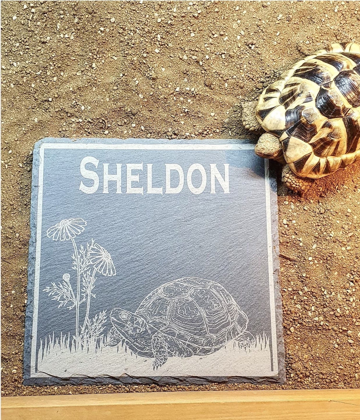 Personalised Tortoise feeding slate. - LaserGiftsuk