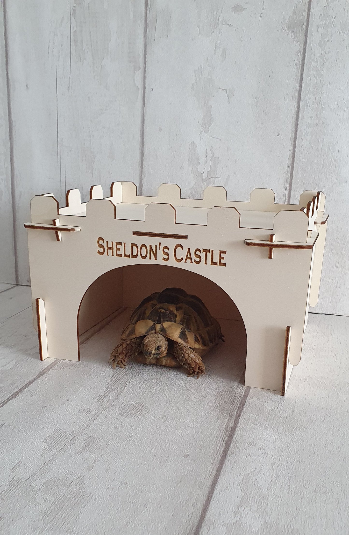 Personalised Tortoise house.