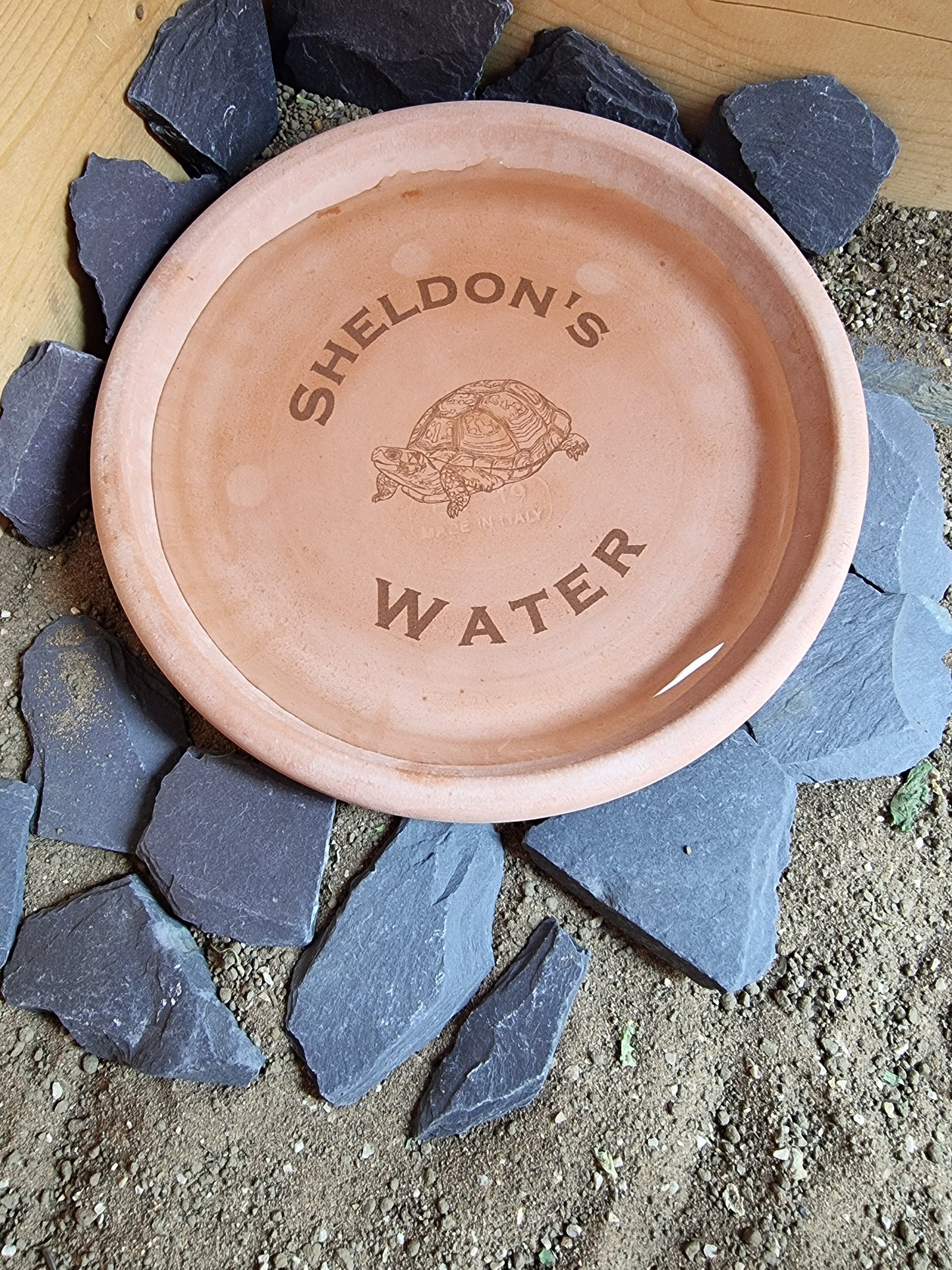 Personalised Tortoise water bowl/ food dish.