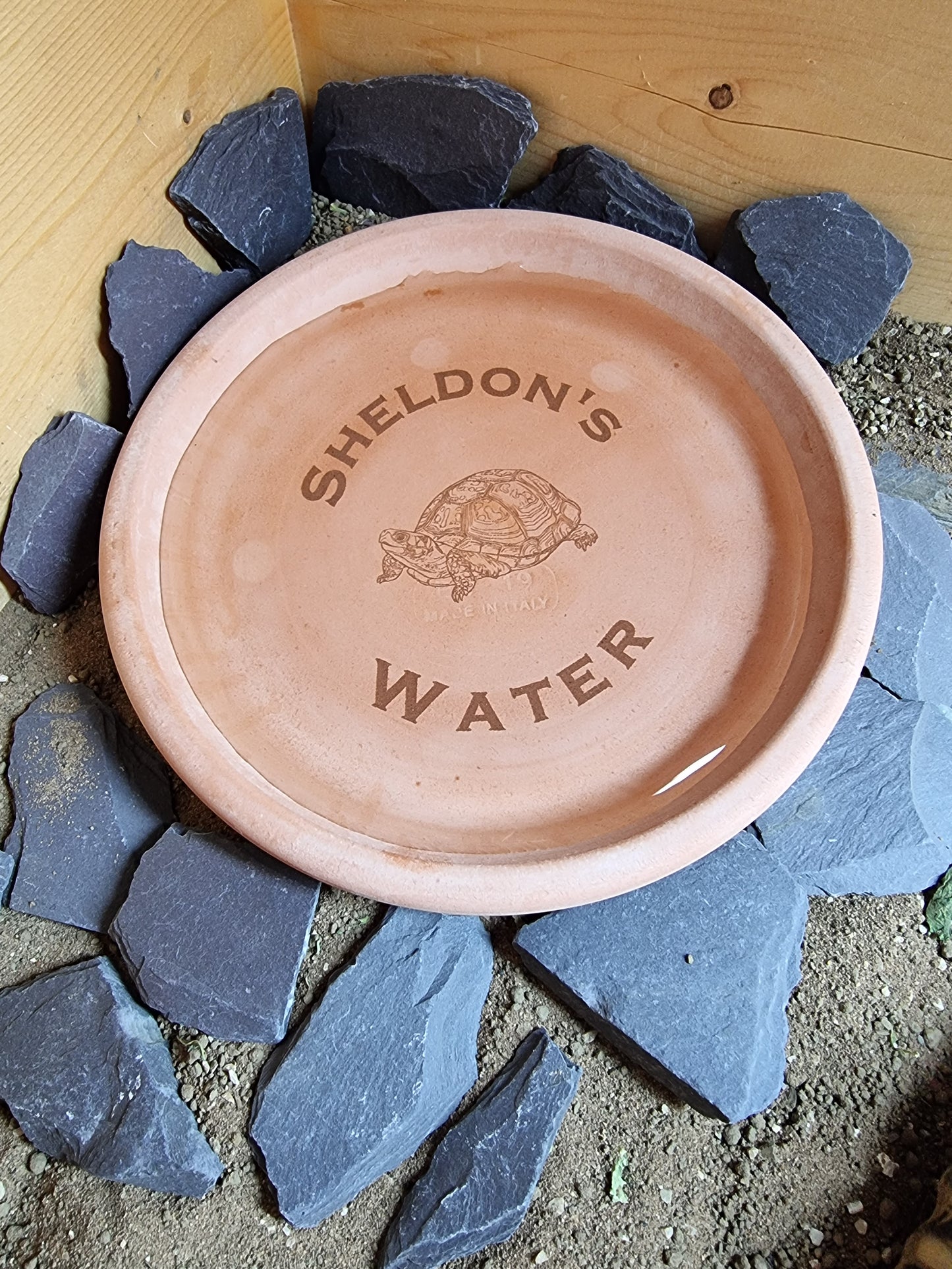 Personalised Tortoise water bowl/ food dish.