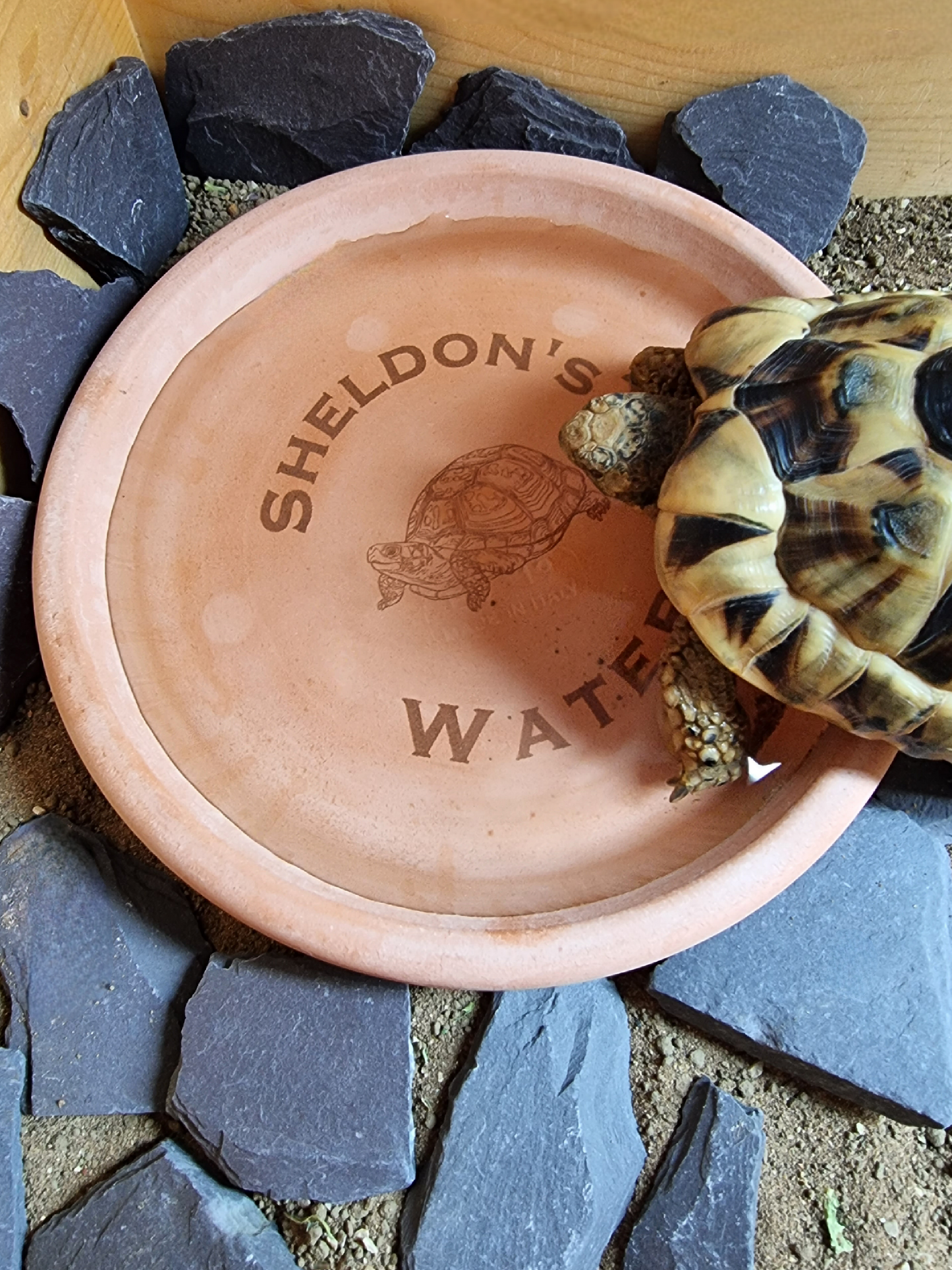 Personalised Tortoise water bowl/ food dish.